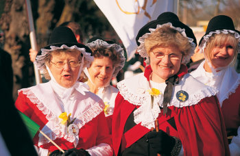 St David's Day Parade Cardiff